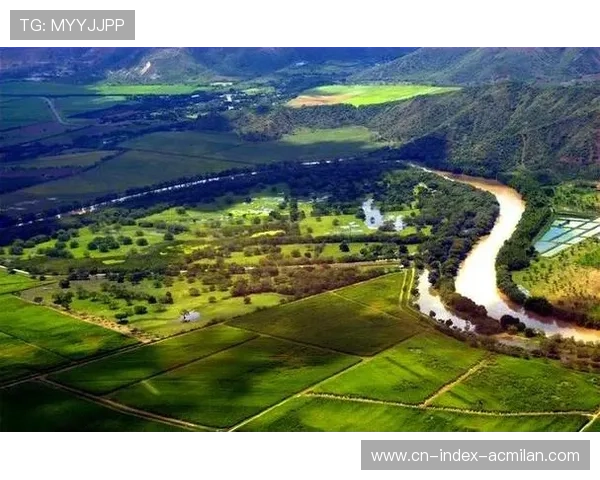 玻利维亚主场优势明显，高原战术发挥良好